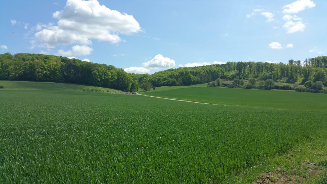 Friedland - Gross Schneen Goe 10 Km 외부 사진
